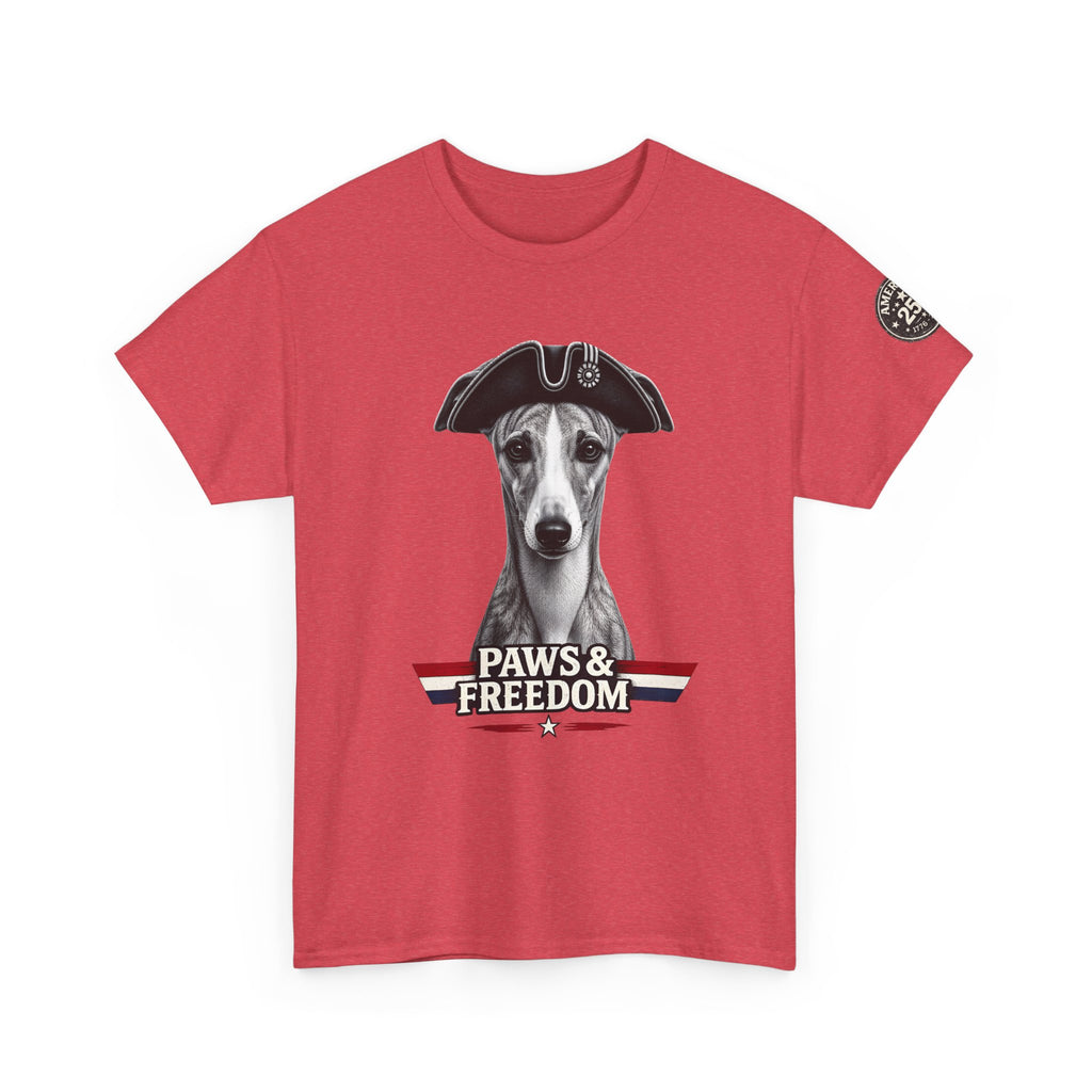 Whippet