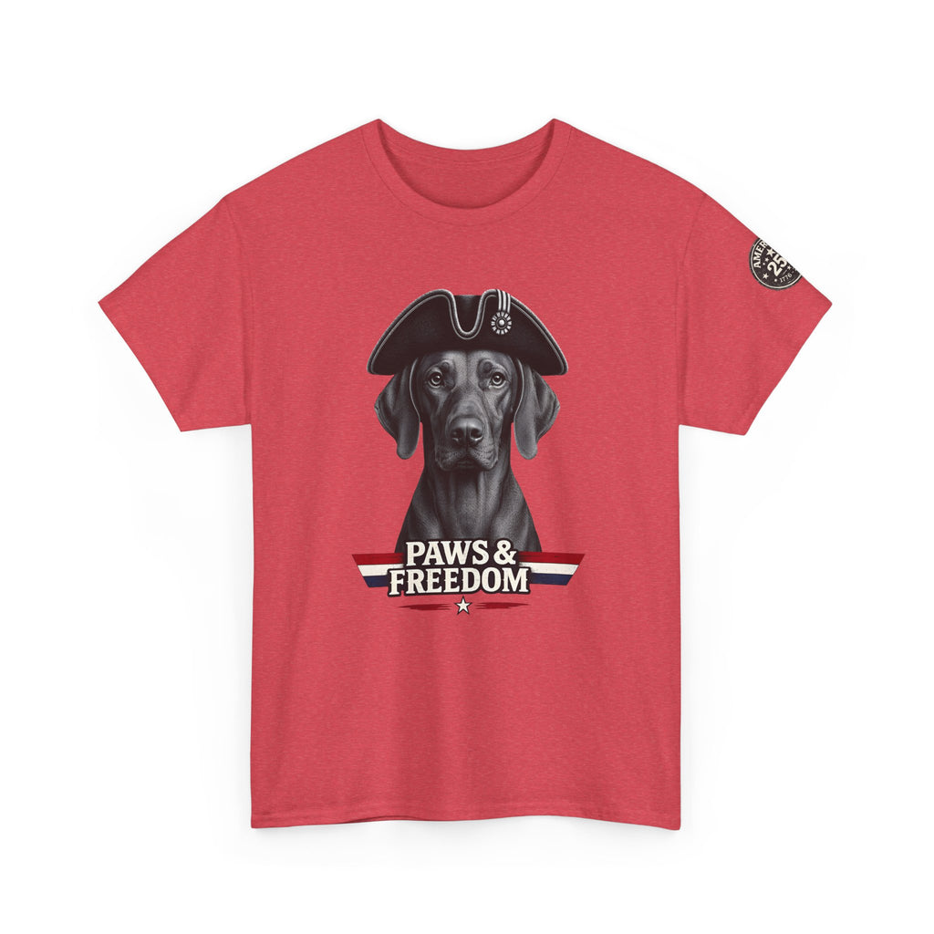 Vizsla