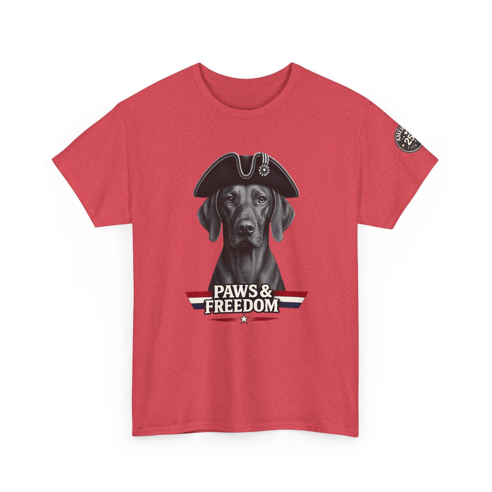 Vizsla